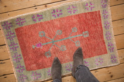 2x3.5 Vintage Distressed Oushak Rug by Old New House® - product image 2 for Resin Society