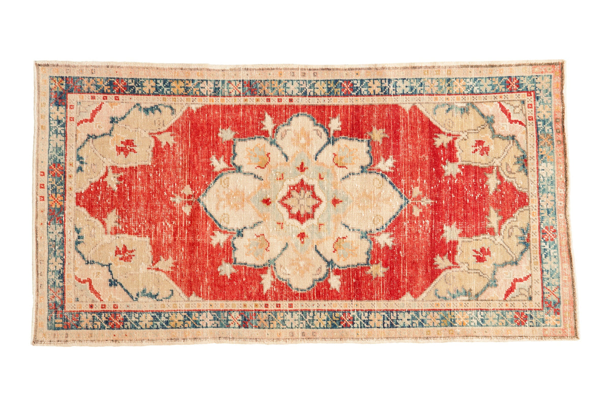 2.5x5 Vintage Distressed Oushak Rug Runner by Old New House® - main product image for Resin Society