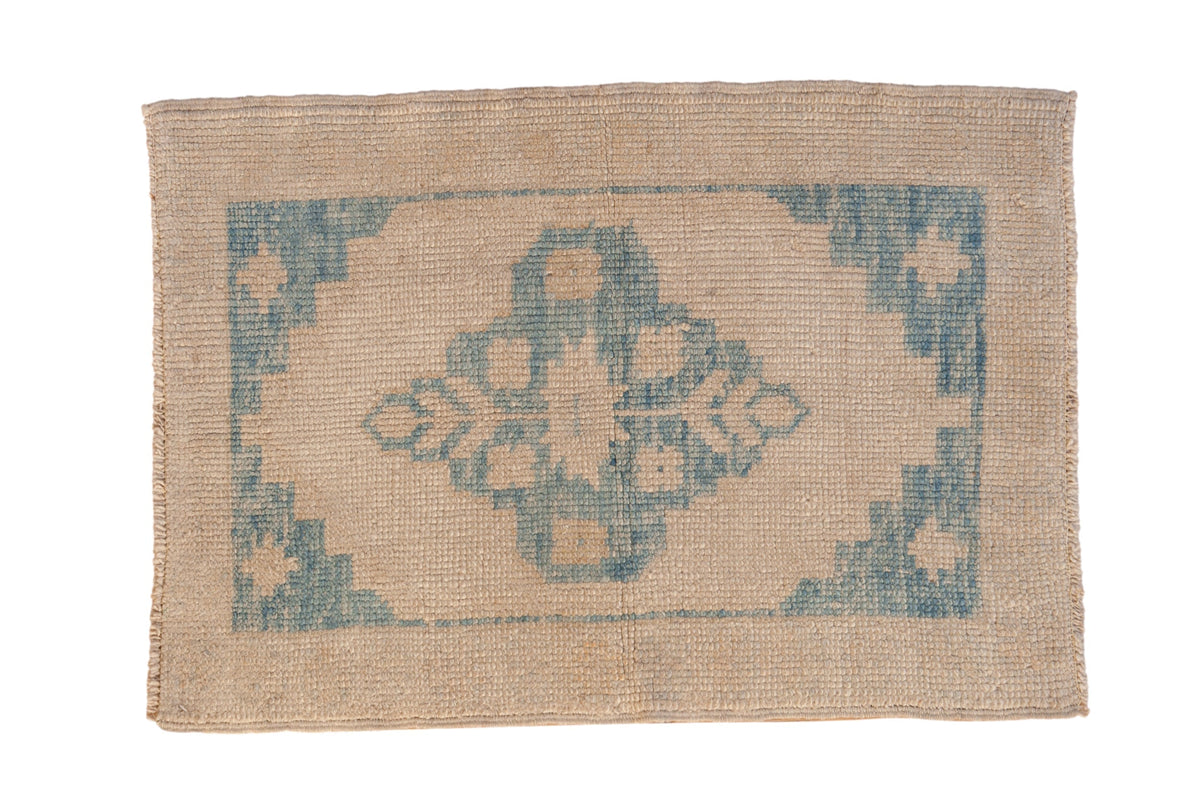 2.5x3.5 Distressed Oushak Rug by Old New House® - main product image for Resin Society