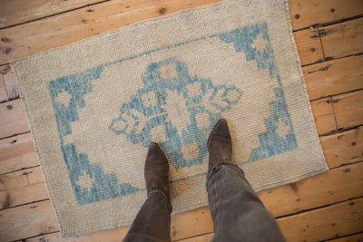 2.5x3.5 Distressed Oushak Rug by Old New House® - product image 2 for Resin Society