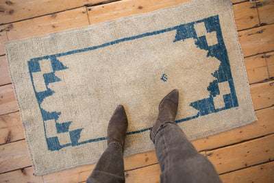 2x4 Distressed Oushak Rug Runner by Old New House® - product image 2 for Resin Society