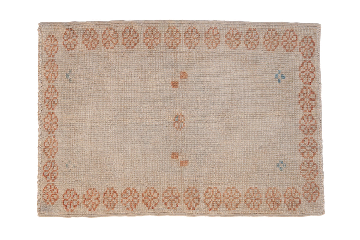 2.5x3.5 Distressed Oushak Rug by Old New House® - main product image for Resin Society