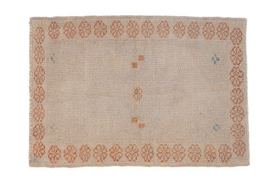 2.5x3.5 Distressed Oushak Rug by Old New House® - main product image for Resin Society