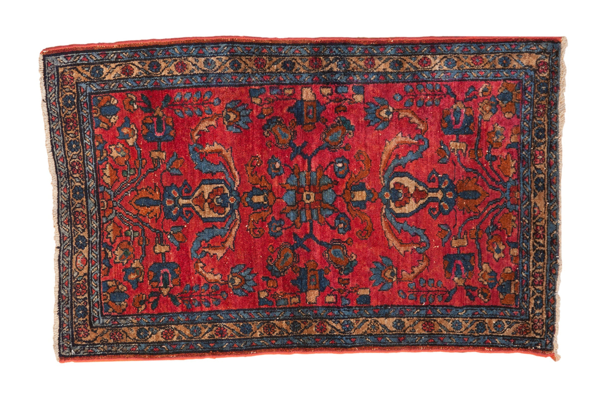 2.5x4 Vintage Lilihan Rug by Old New House® - main product image for Resin Society