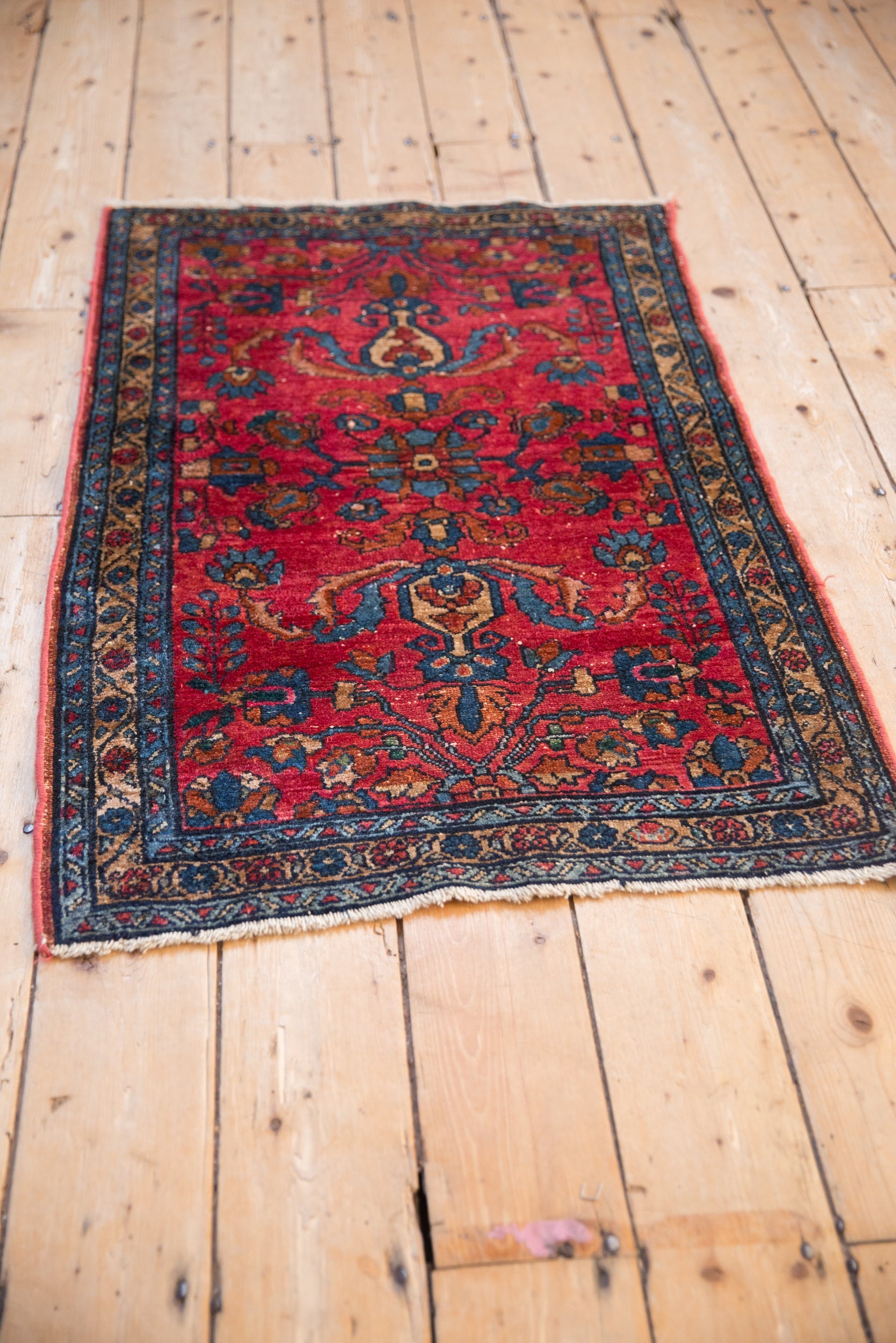 2.5x4 Vintage Lilihan Rug by Old New House® - product image 7 for Resin Society