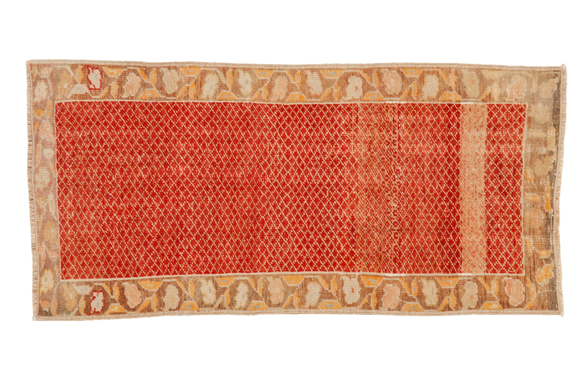 2x4 Vintage Distressed Oushak Rug Runner by Old New House® - main product image for Resin Society