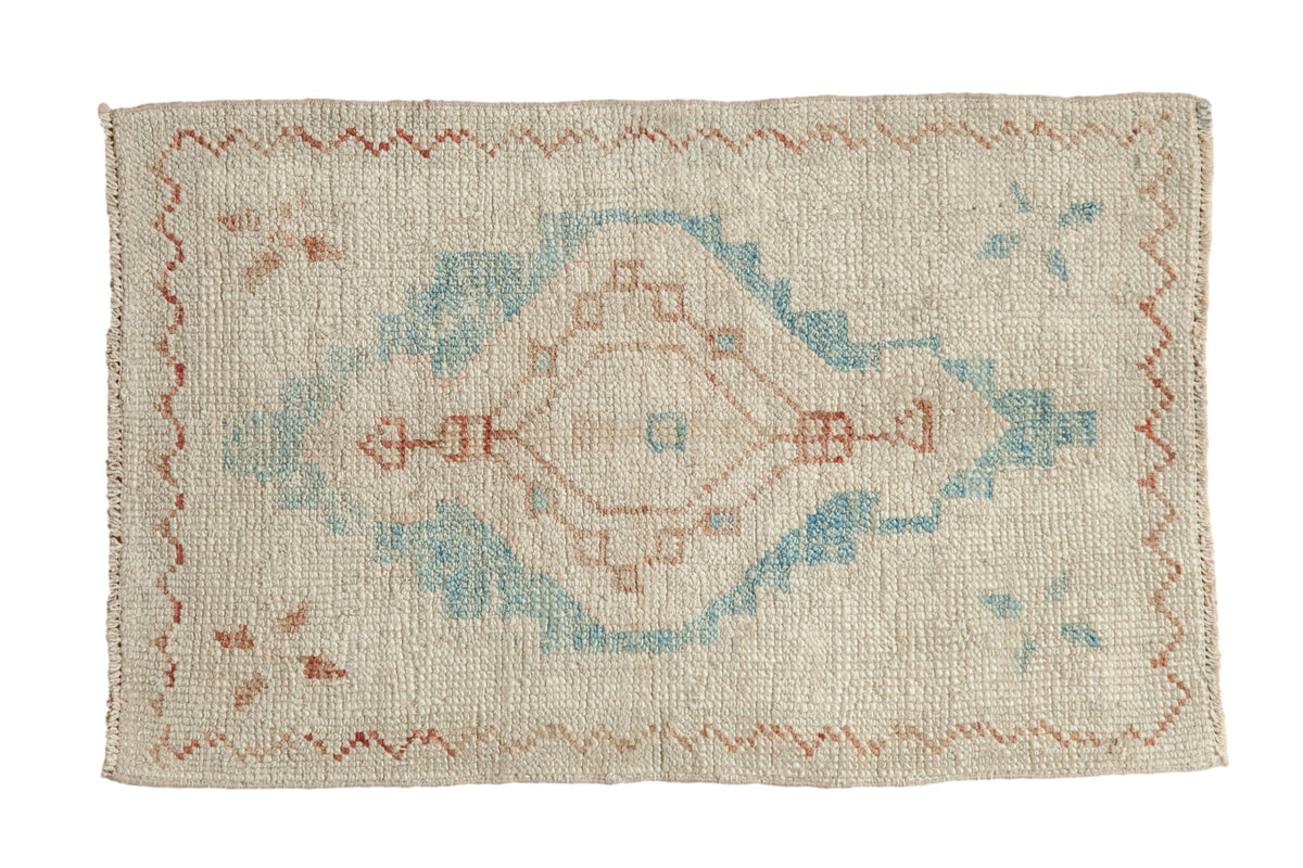 2x3.5 Distressed Oushak Rug by Old New House® - main product image for Resin Society