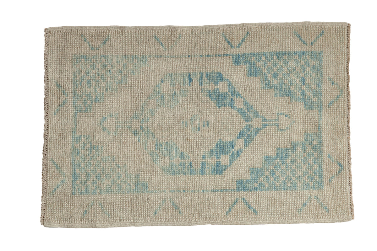 2.5x4 Distressed Oushak Rug by Old New House® - main product image for Resin Society