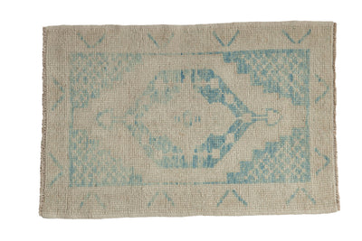 2.5x4 Distressed Oushak Rug by Old New House® - main product image for Resin Society