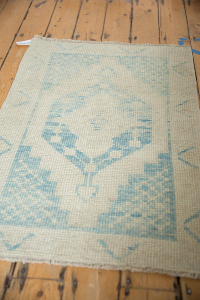 2.5x4 Distressed Oushak Rug by Old New House® - product image 4 for Resin Society