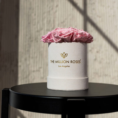 Essence Beige Suede Box | Light Pink Roses