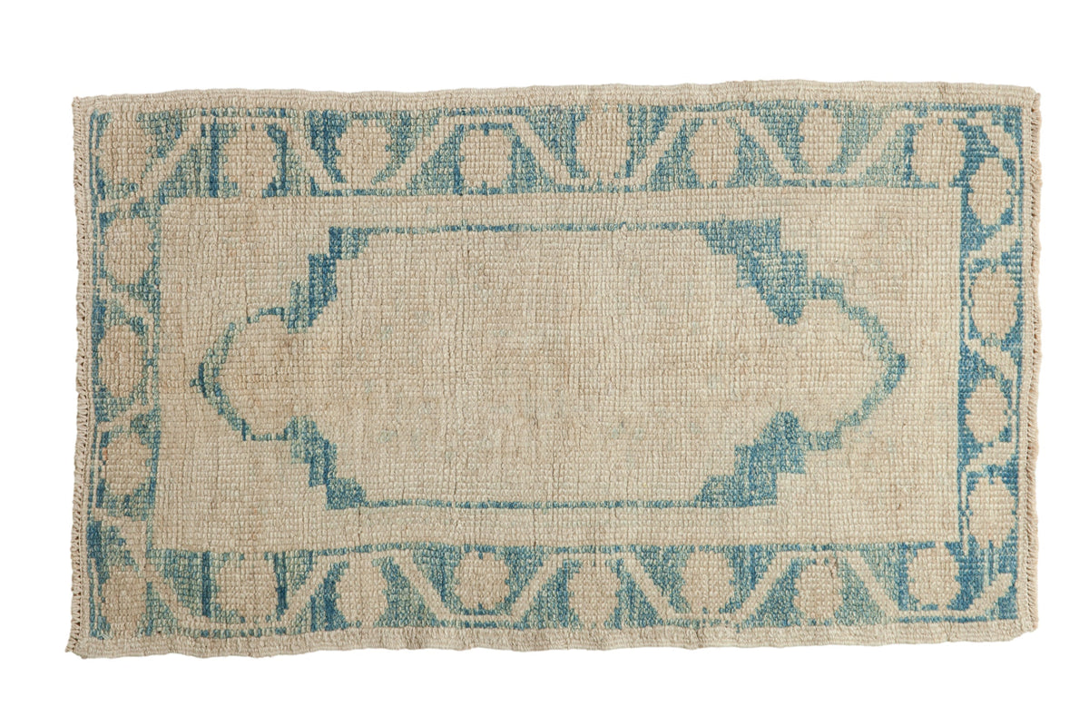 2.5x4 Distressed Oushak Rug by Old New House® - main product image for Resin Society