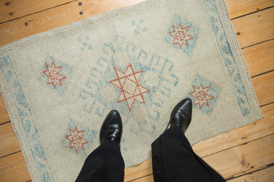 2x3.5 Distressed Oushak Rug by Old New House® - product image 2 for Resin Society