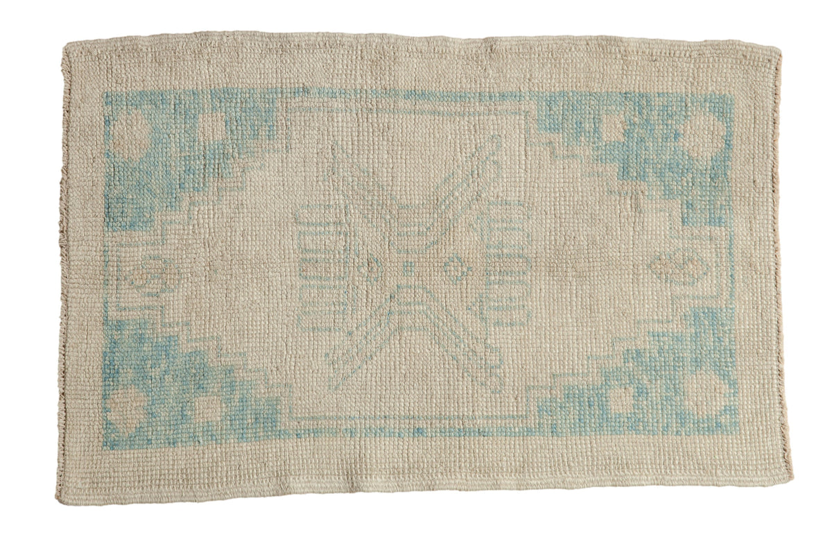 2.5x4 Distressed Oushak Rug by Old New House® - main product image for Resin Society