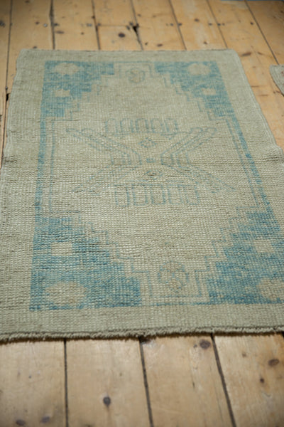 2.5x4 Distressed Oushak Rug by Old New House® - product image 8 for Resin Society