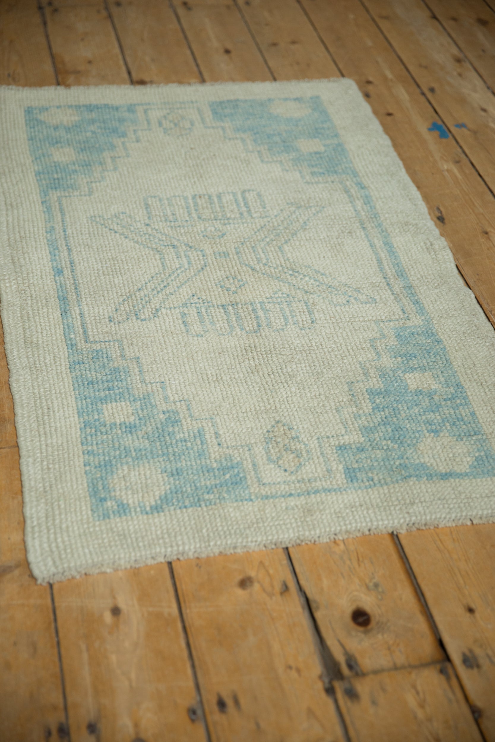 2.5x4 Distressed Oushak Rug by Old New House® - product image 9 for Resin Society