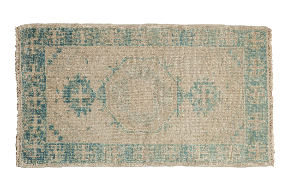2x4 Distressed Oushak Rug Runner by Old New House® - main product image for Resin Society