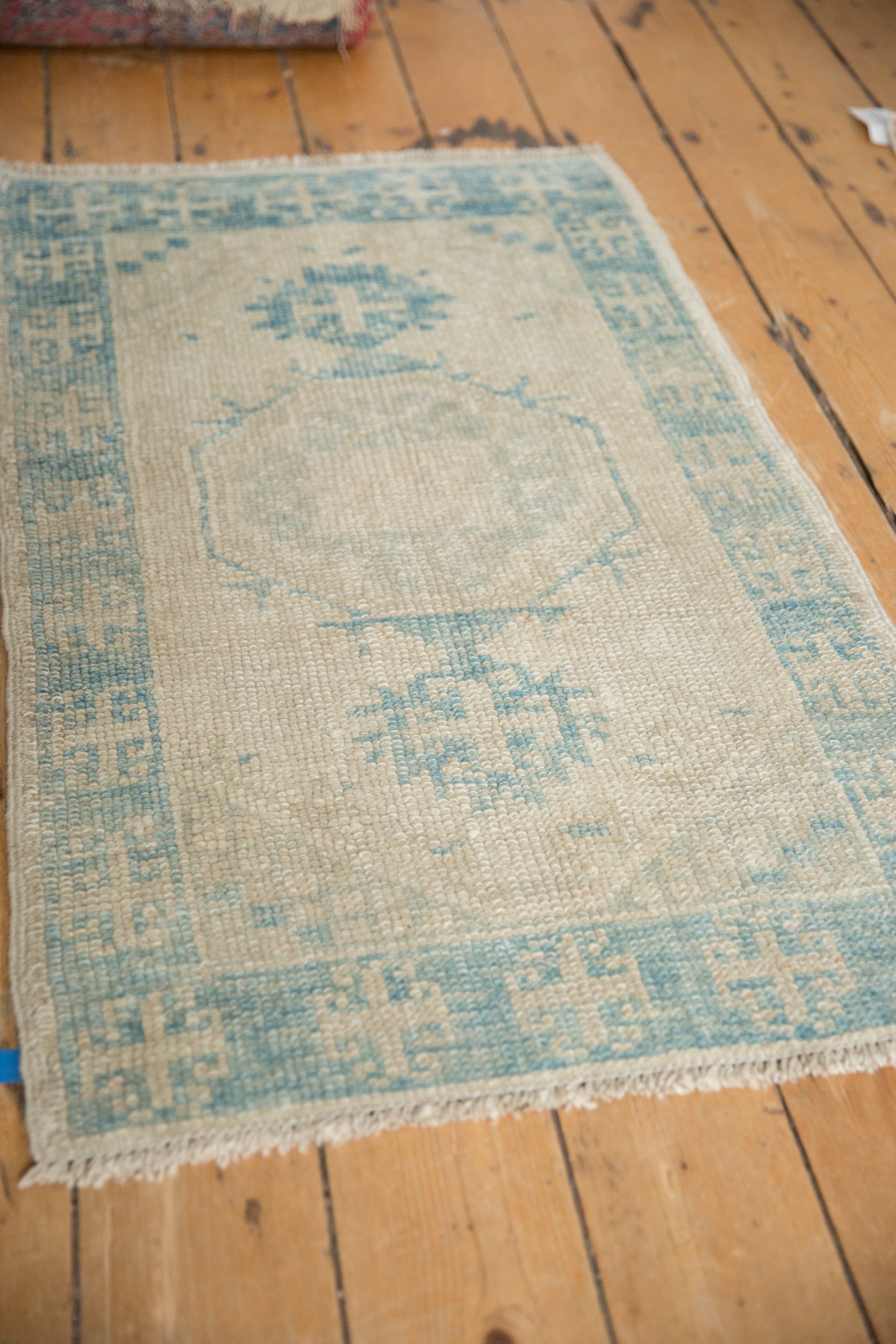 2x4 Distressed Oushak Rug Runner by Old New House® - product image 4 for Resin Society