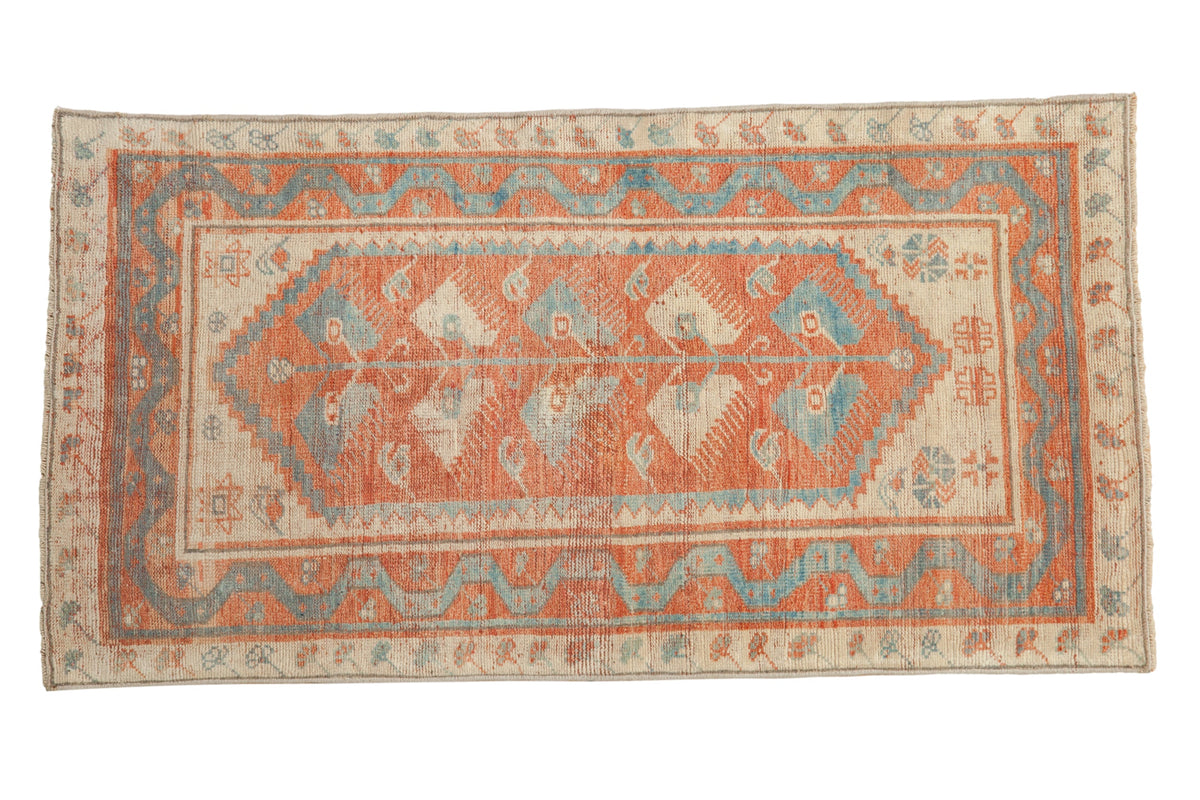 2.5x5 Distressed Oushak Rug Runner by Old New House® - main product image for Resin Society