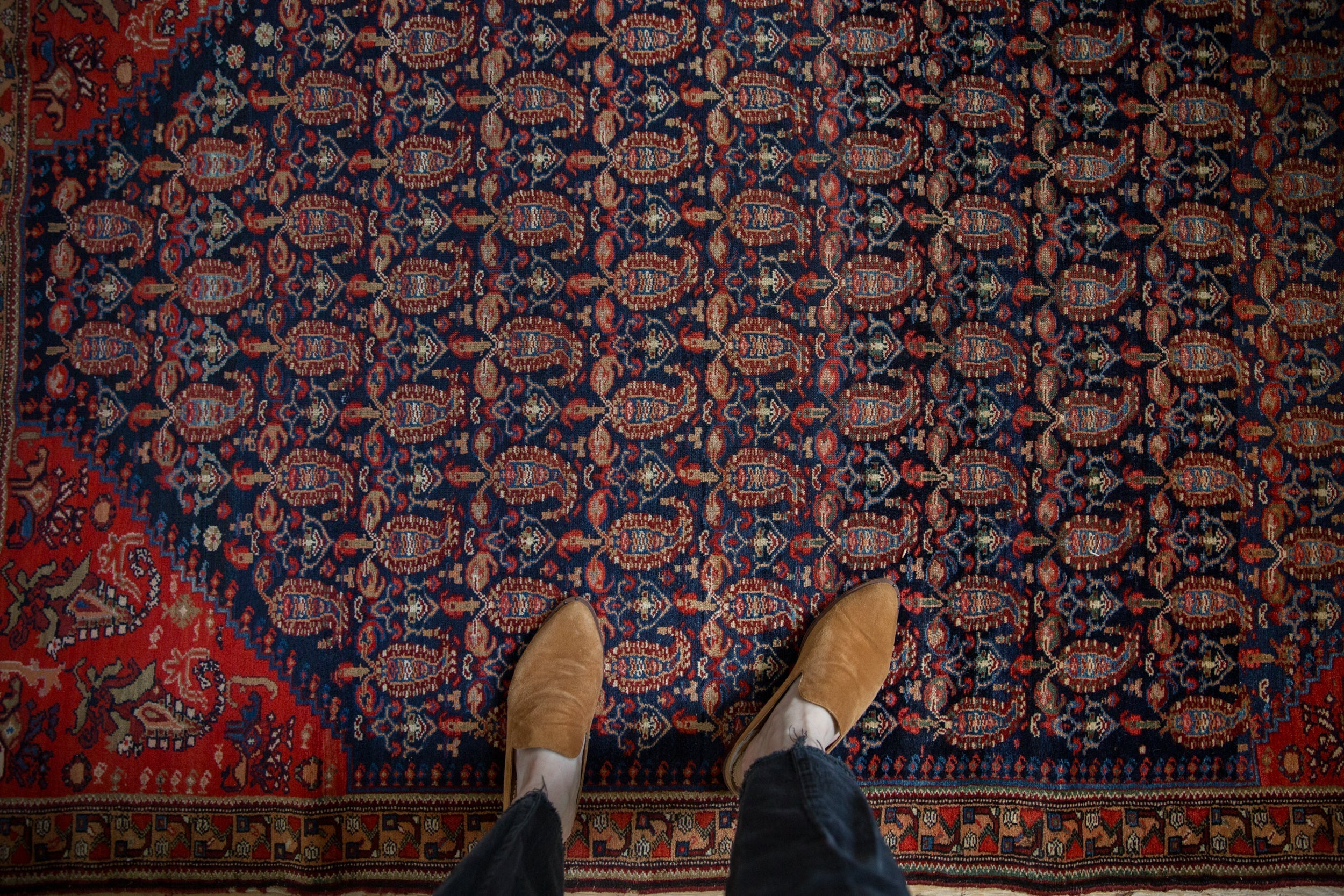 4.5x6.5 Antique Malayer Rug by Old New House® - product image 2 for Resin Society