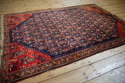 4.5x6.5 Antique Malayer Rug by Old New House® - product image 11 for Resin Society