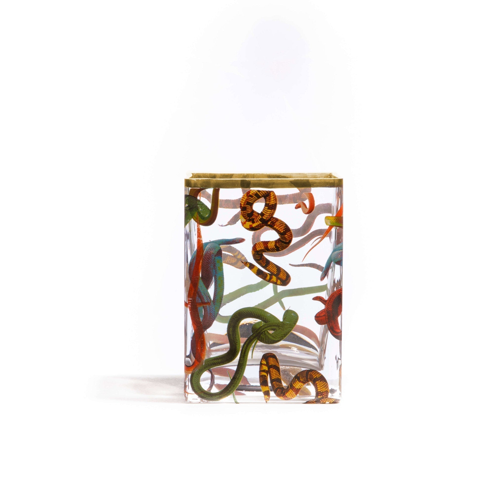 Glass Vase Snakes by DEKOR - Resin Society