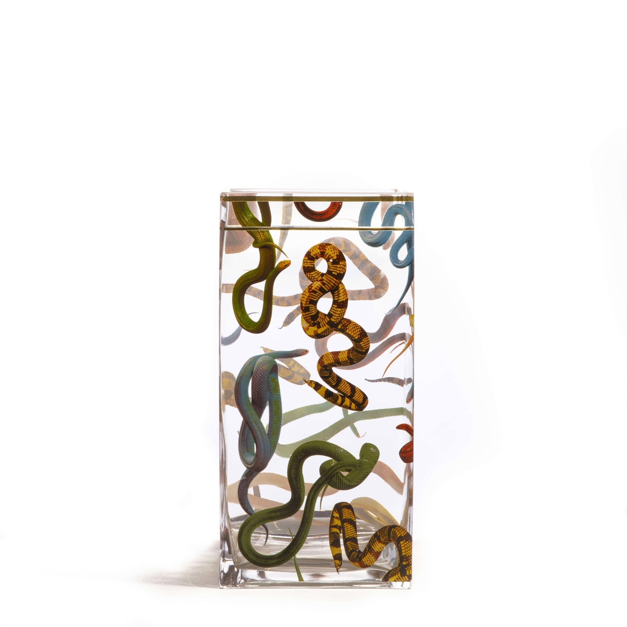 Glass vase big Snakes by DEKOR - Resin Society
