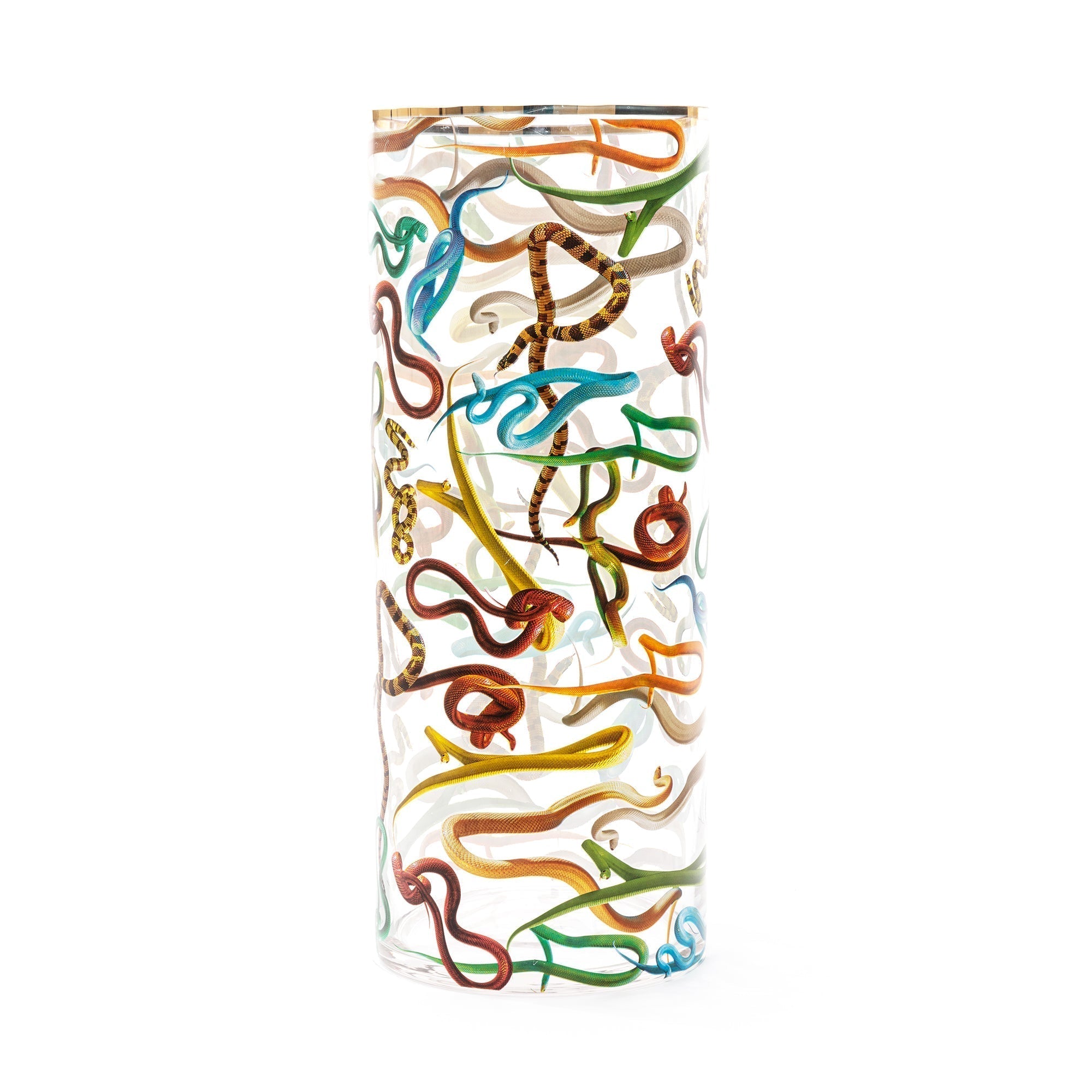 Glass Vase Snakes Cylindrical Big detail image - Resin Society