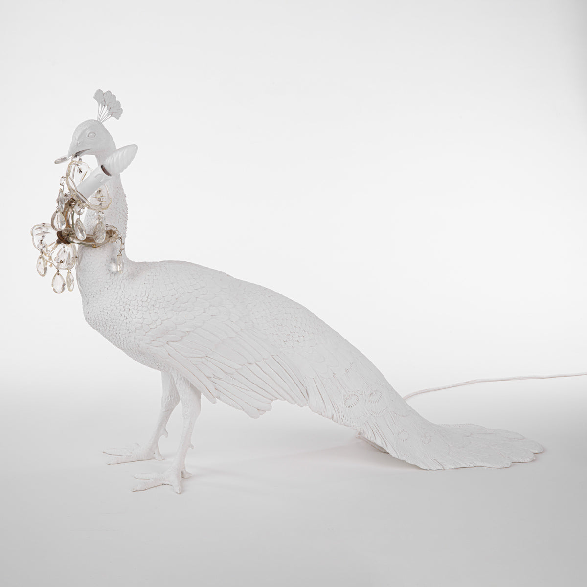 Peacock Led Lamp by DEKOR - main product image for Resin Society