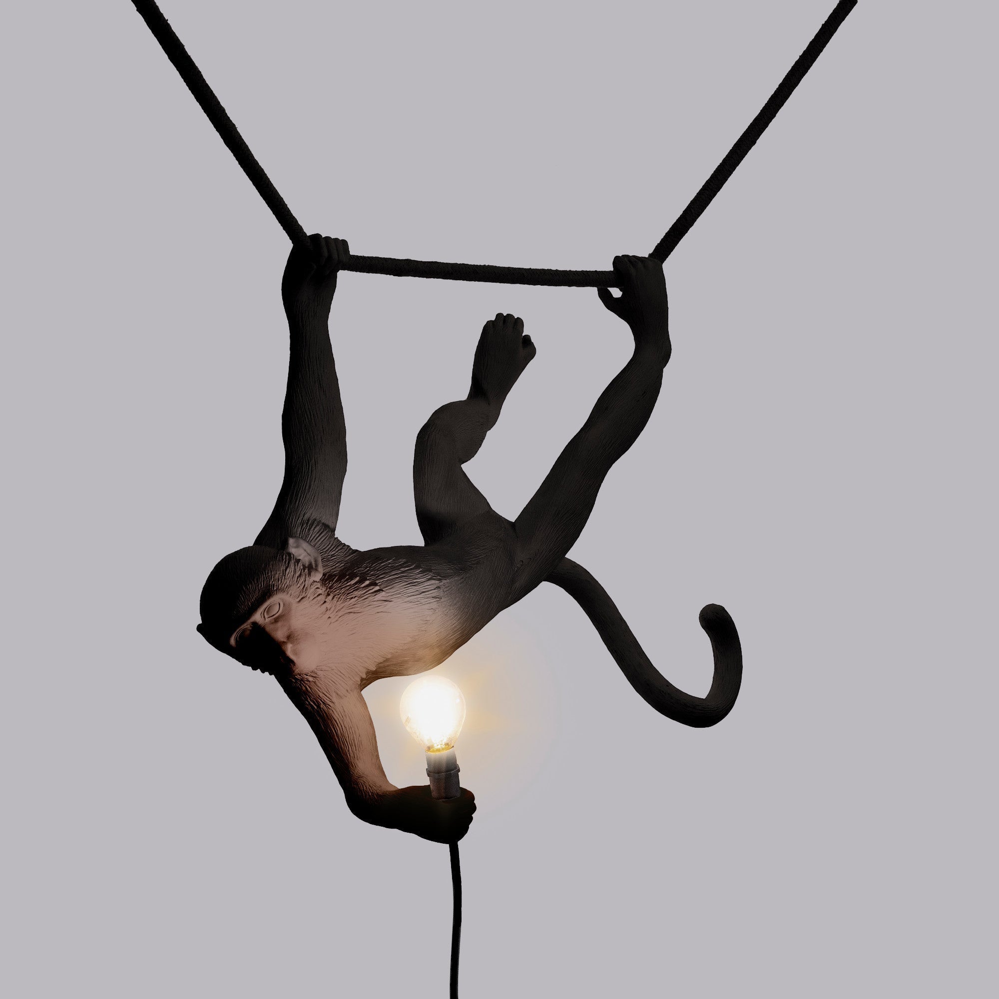 The Monkey Lamp Swing Black by DEKOR - product image 5 for Resin Society