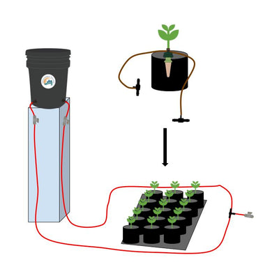 Preset Blumat Grow Tent Irrigation Kit by Sustainable Village - product image 10 for Resin Society