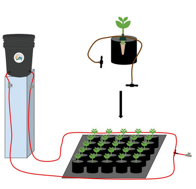 Preset Blumat Grow Tent Irrigation Kit by Sustainable Village - product image 11 for Resin Society