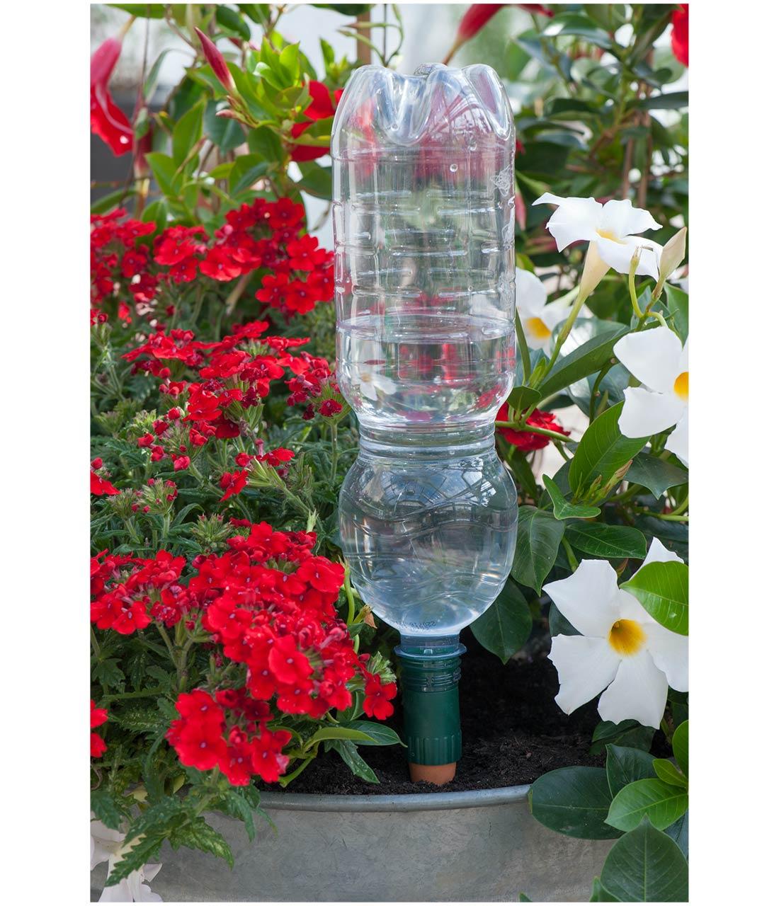 Blumat Easy + Bottle Adapter by Sustainable Village - product image 7 for Resin Society