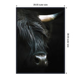 Close-up view of a black Highland cow's face with long dark hair and a prominent left horn against a dark background, framed with outer size 28 by 38 inches.