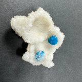 White crystalline stilbite matrix with two vibrant blue cavansite crystal clusters on its surface, shown against a dark gray background.