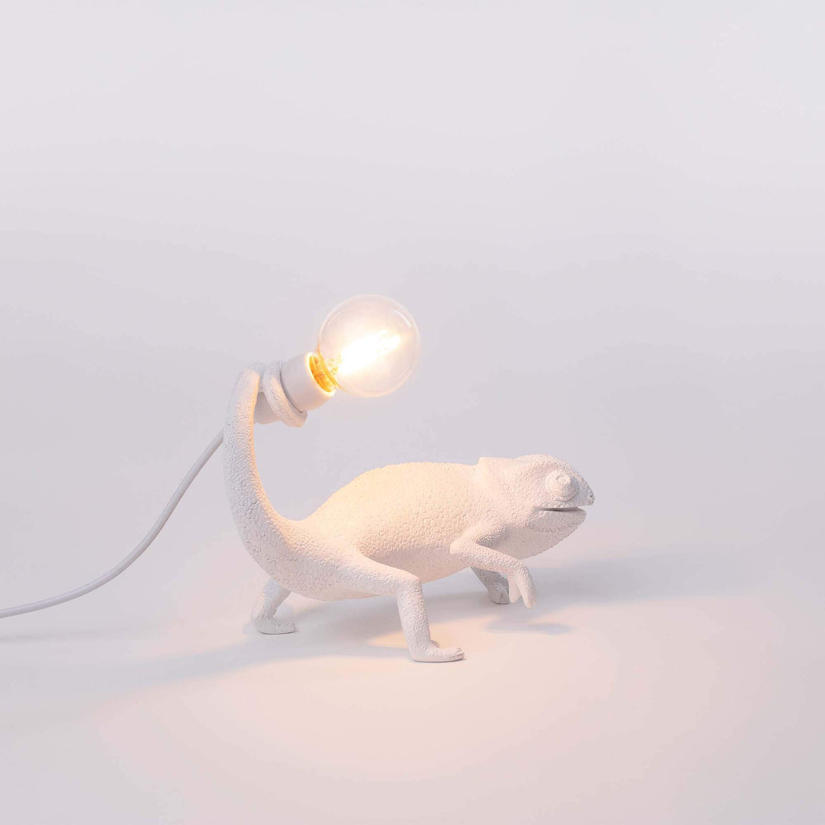 Chameleon Lamp Still detail image - Resin Society