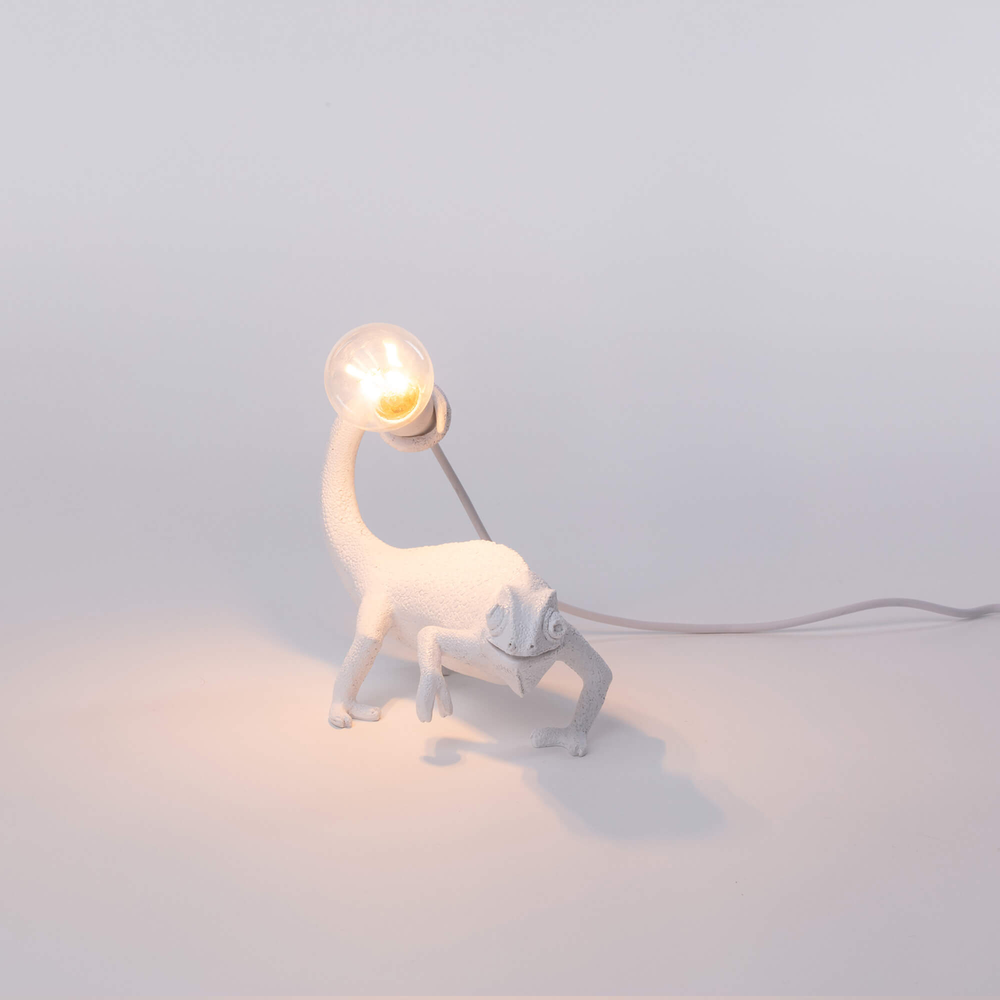 Chameleon Lamp Still detail image - Resin Society