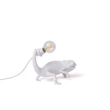 Chameleon Lamp Still detail image - Resin Society