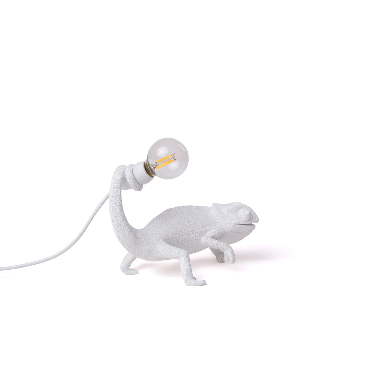 Chameleon Lamp Still detail image - Resin Society