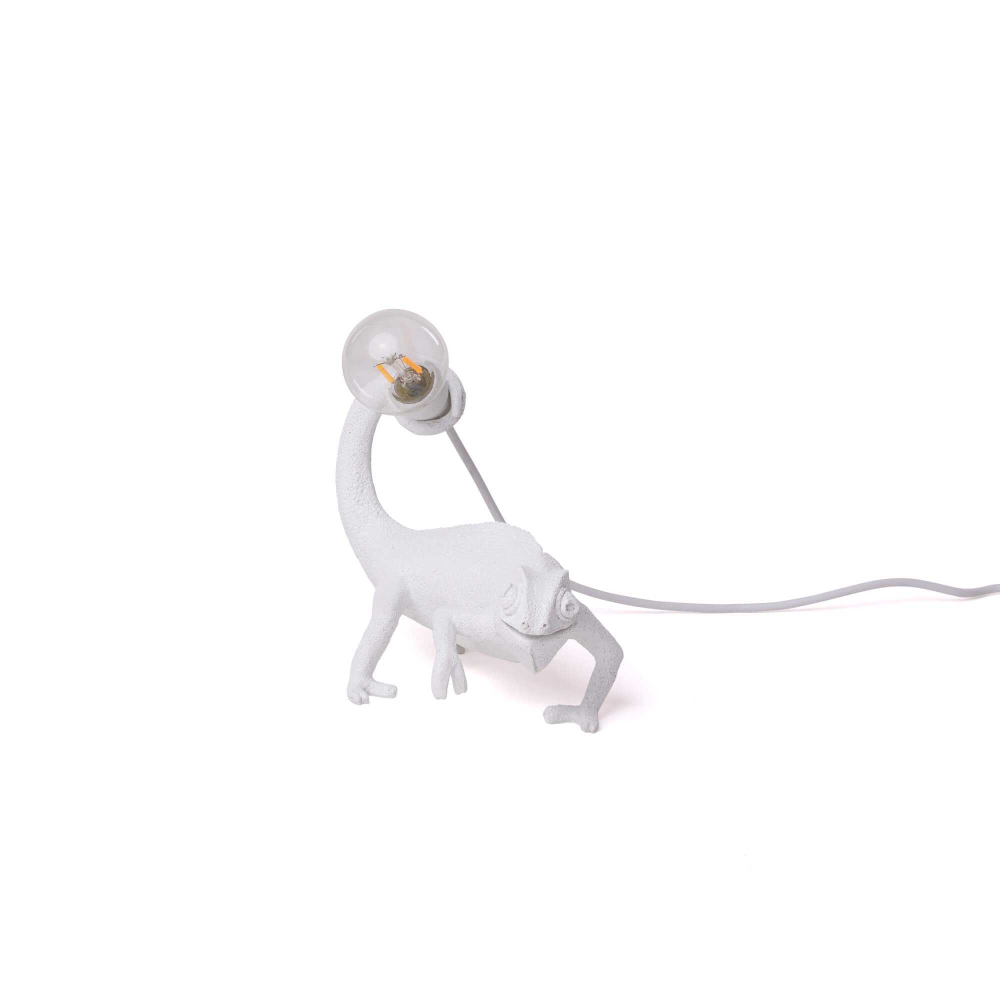 Chameleon Lamp Still by DEKOR - Resin Society