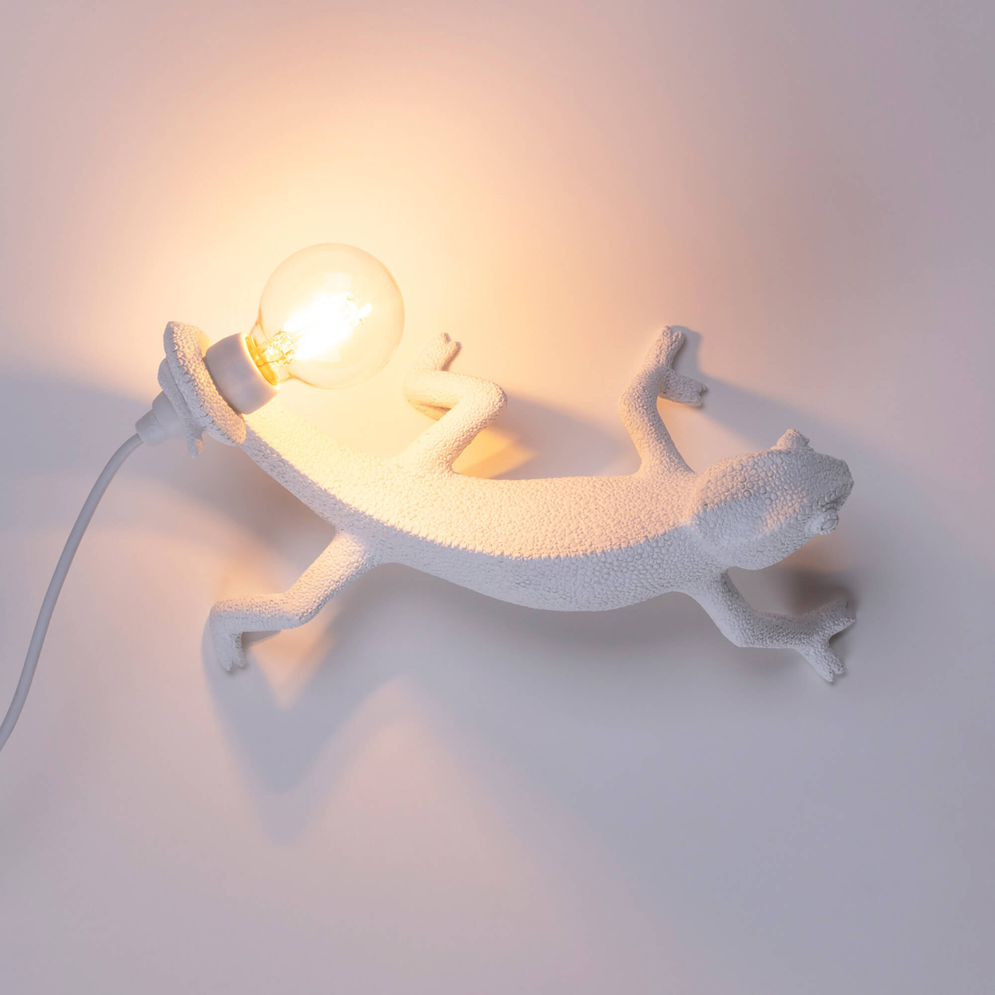 Chameleon Lamp Going Down detail image - Resin Society