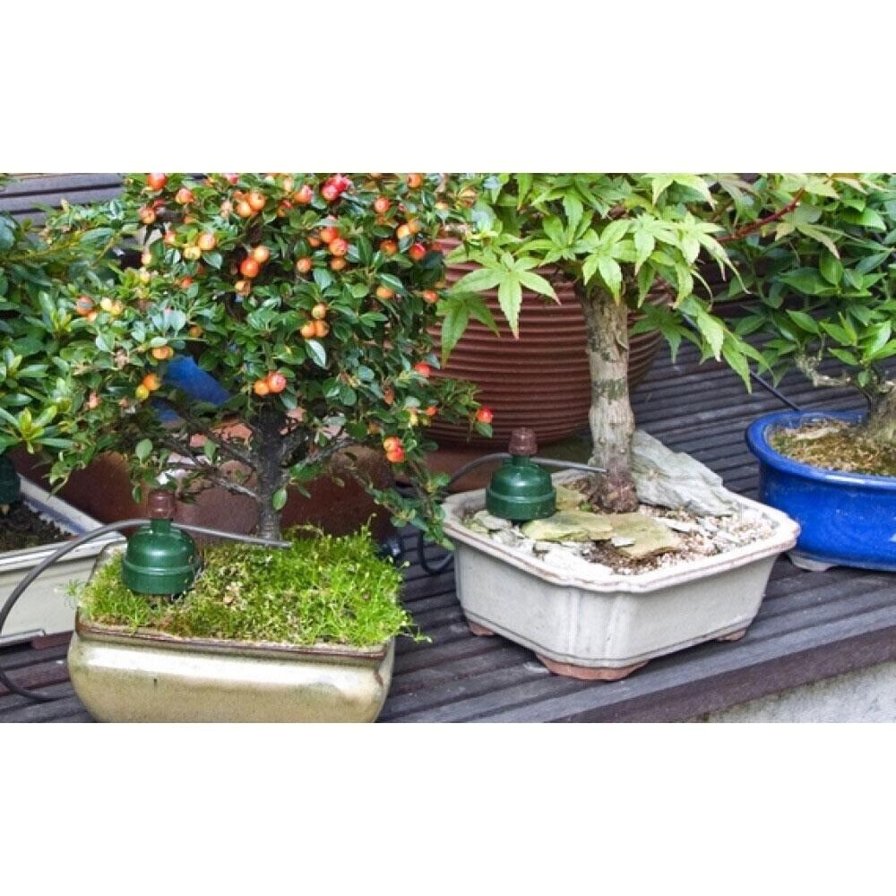 Blumat Bonsai Automatic Plant Watering Sensor by Sustainable Village - product image 5 for Resin Society