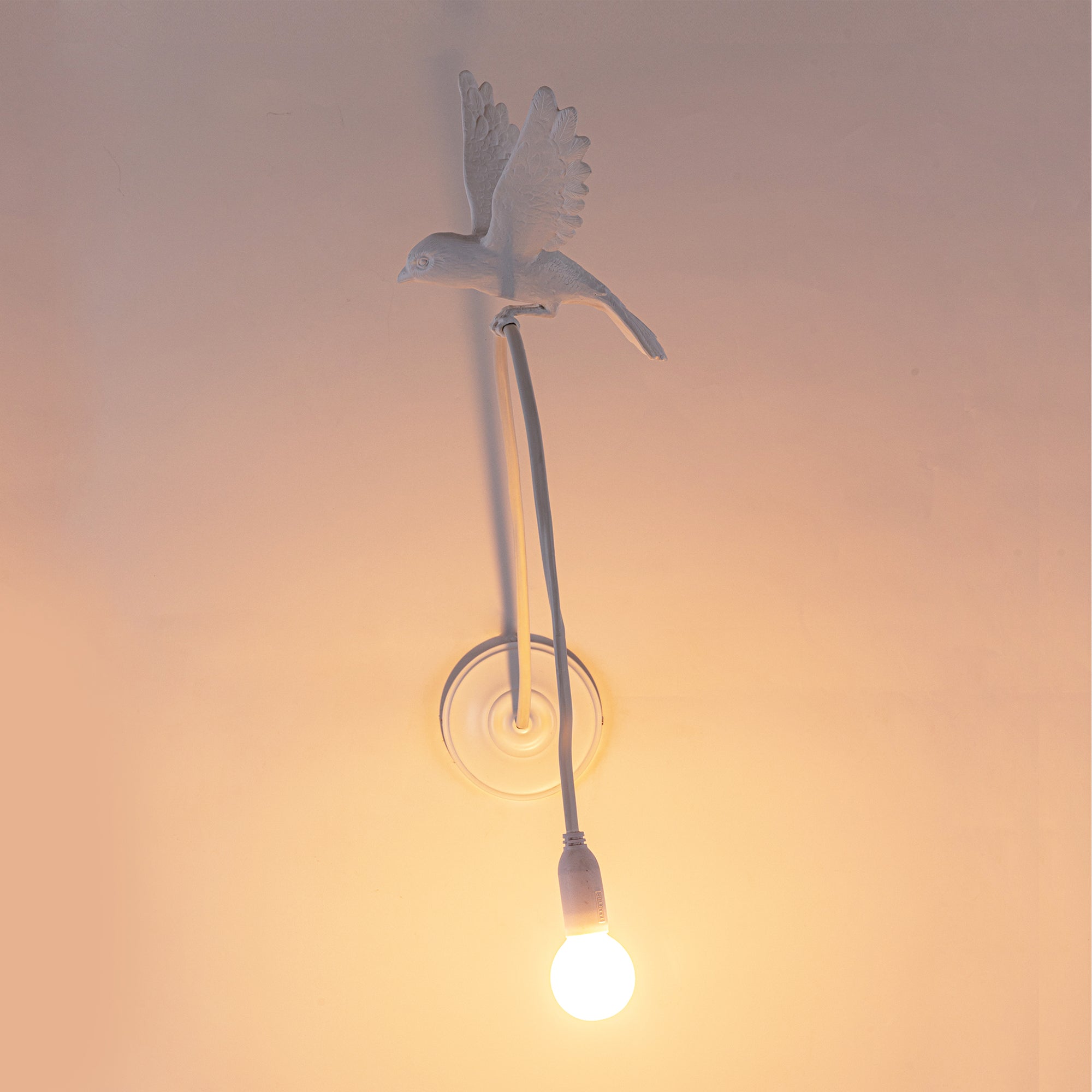 Sparrow Lamp Wall Lamp - Landing by DEKOR - product image 4 for Resin Society