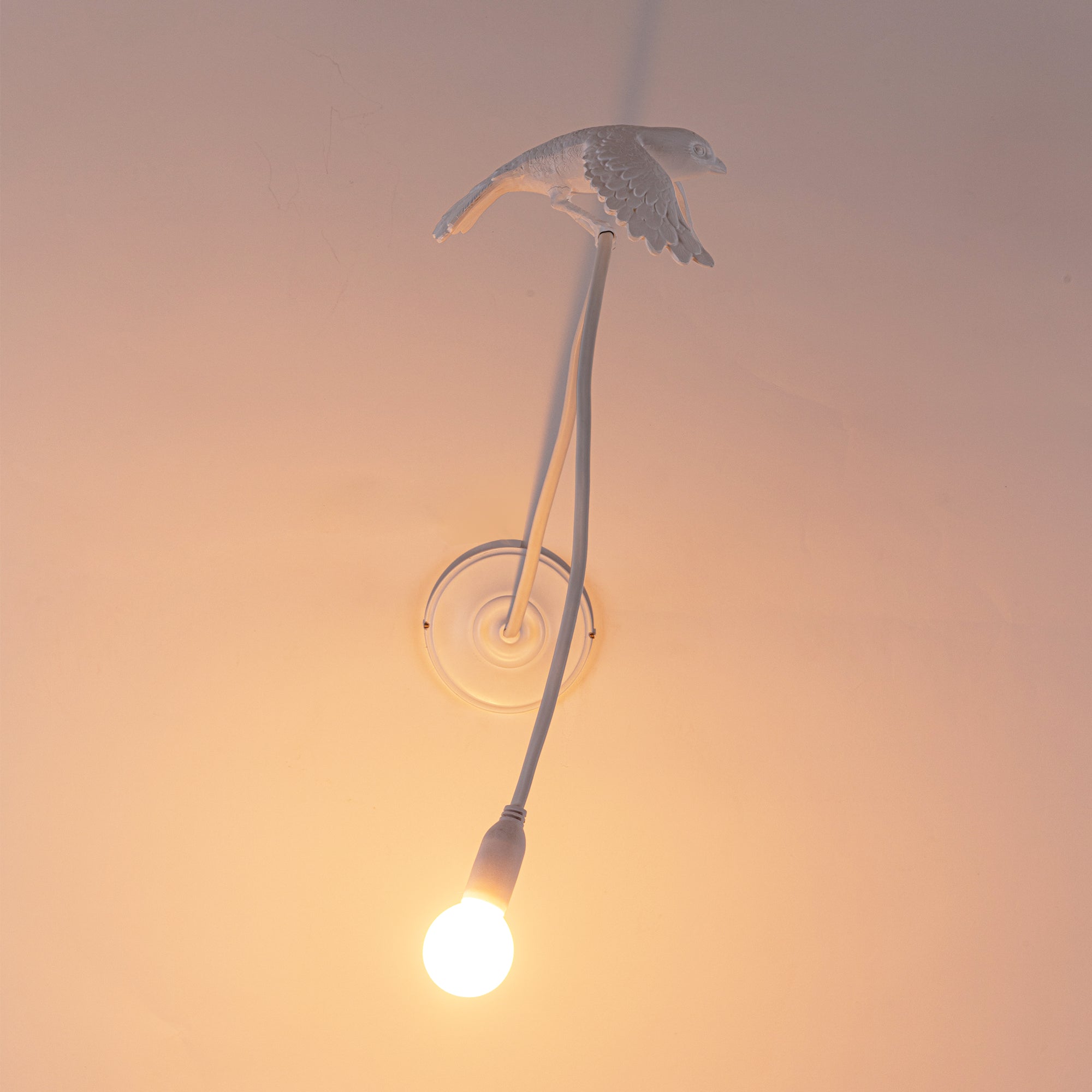 Sparrow Lamp Wall Lamp - Taking off by DEKOR - product image 2 for Resin Society