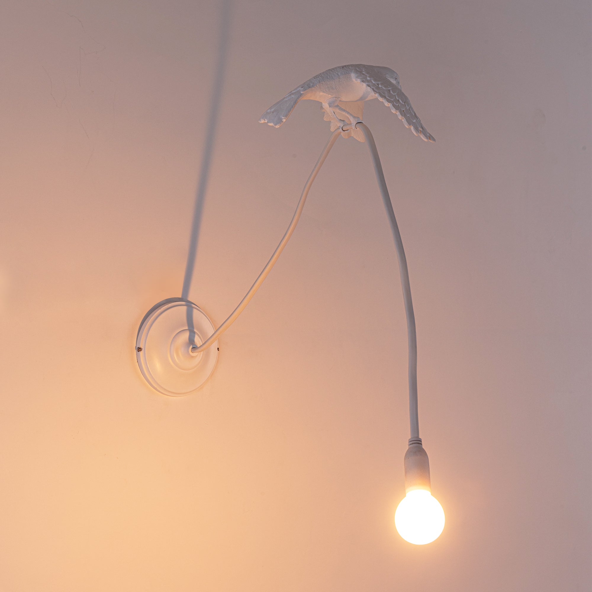 Sparrow Lamp Wall Lamp - Taking off by DEKOR - product image 4 for Resin Society