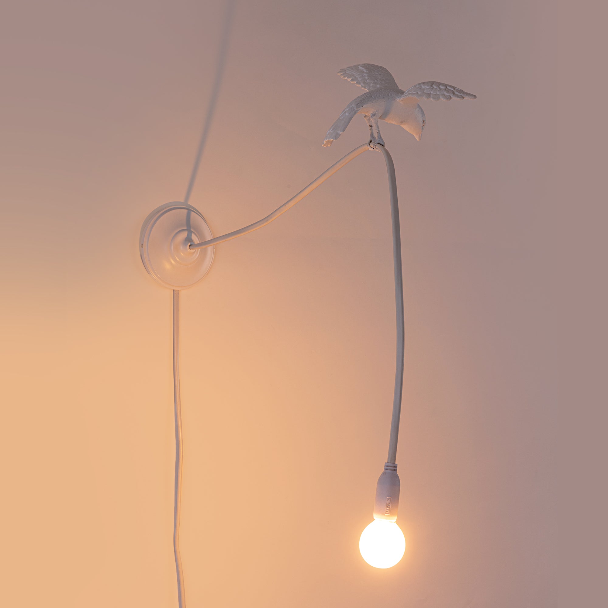 Sparrow Lamp Wall Lamp - Cruising by DEKOR - product image 4 for Resin Society