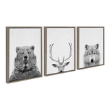 Framed canvas art set depicting bear, deer, and wolf wildlife portraits by Simon Te