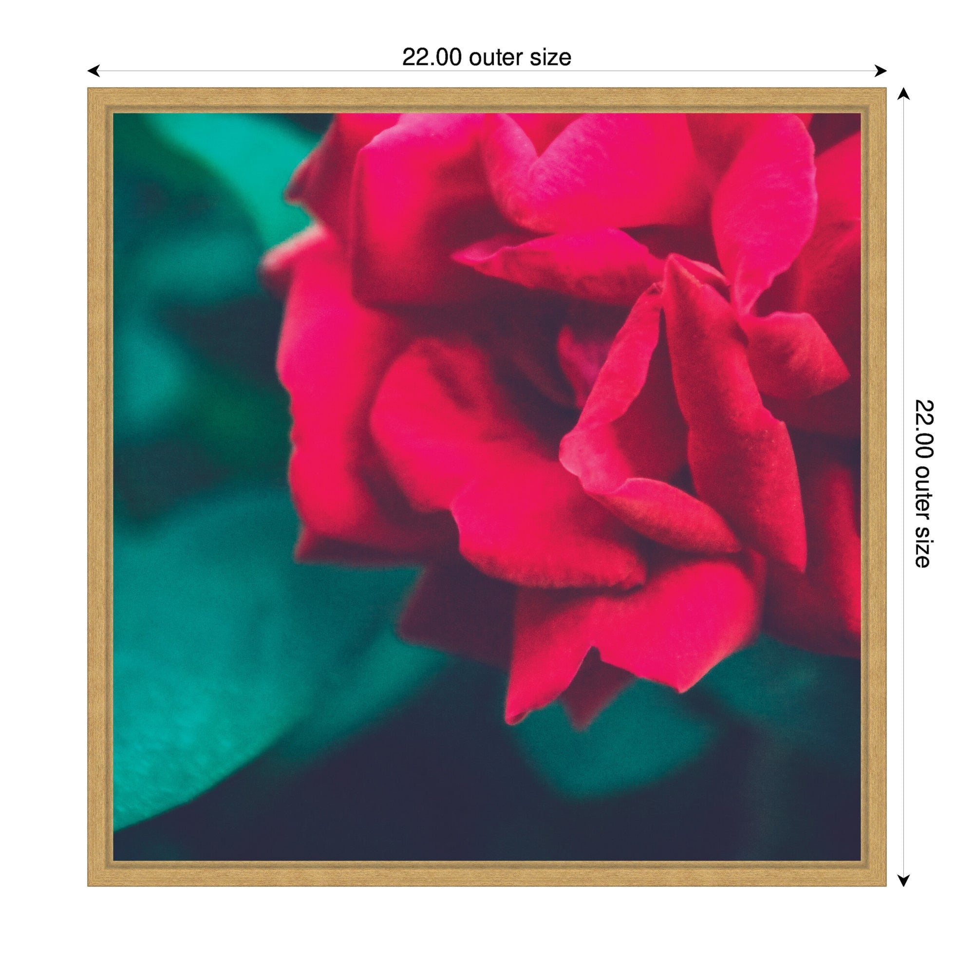 Sylvie Red Velvet Garden Rose Framed Canvas by Stephanie Klatt