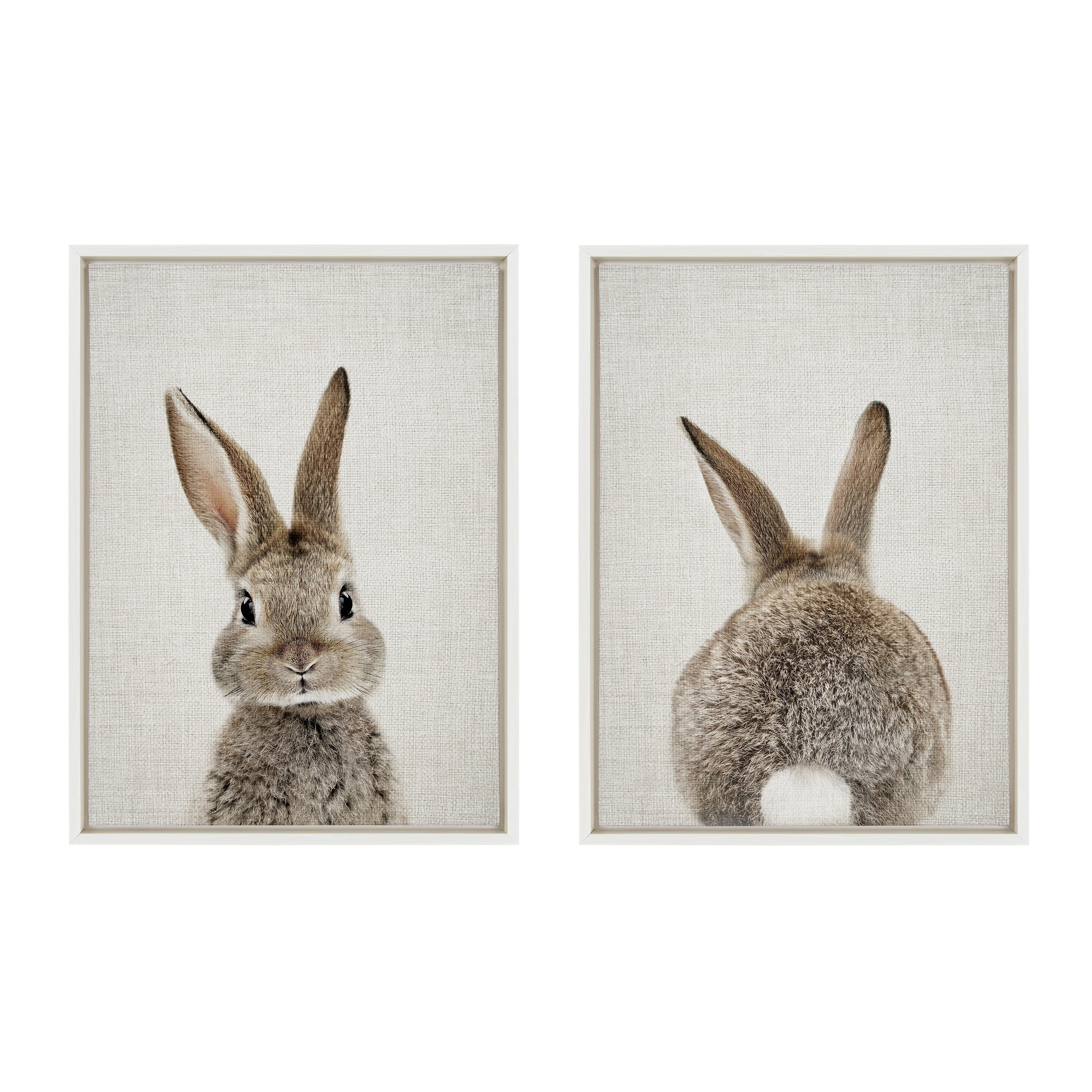 Sylvie Bunny Portrait and Bunny Tail Framed Canvas Art Set by Amy Peterson Art Studio