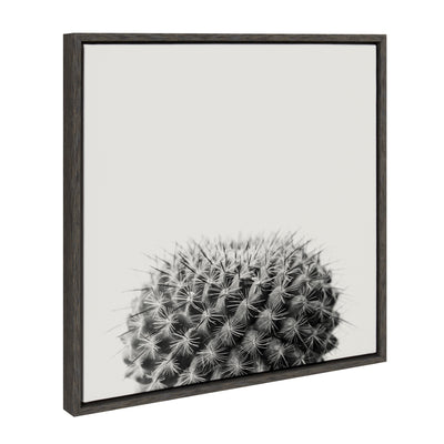 Sylvie Haze Succulent Cactus Short Framed Canvas
